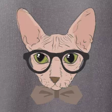 Hipster sphynx