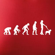 Lagotto romagnolo Evolúcia