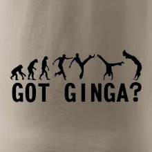 Capoeira - Got Ginga