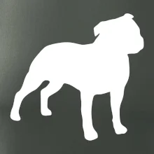 Americký stafordšírsky teriér Na prsníku