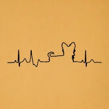 Yorkshirský teriér EKG Yorkshirský teriér EKG