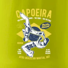 Capoeira  Afro-brazil art