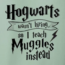 Harry - Hogwarts wasn’t hiring, so I teach Muggles instead