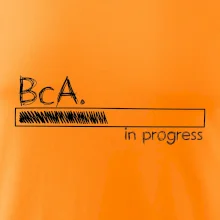 In progress titul BcA. bakalár / bakalárka umenia