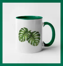 Monstera - dva listy