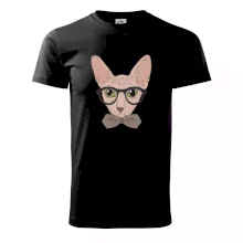 Hipster sphynx Hipster sphynx