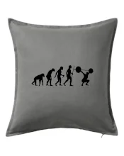 Evolution fitness Evolution fitness