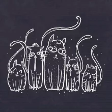 Mačacia rodina Mačacia rodina