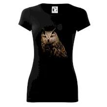 Sova fotka Sova fotka