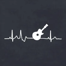 EKG akustická gitara EKG akustická gitara