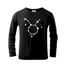 Súhvezdie - Taurus - Býk Súhvezdie - Taurus - Býk