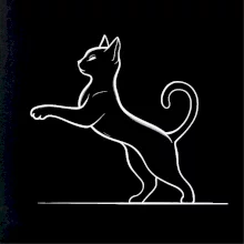 Osvietená mačka na zadných