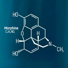 Molekulárna štruktúra Morfín