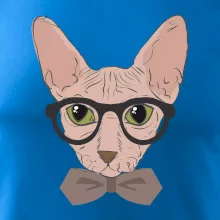 Hipster sphynx