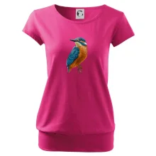 Ľadnáčik kreslený