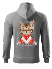 Napoleon domáci mačka