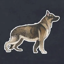 Nemecký ovčiak - hnedý kreslený