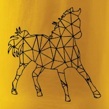 Geometria - kôň Geometria - kôň