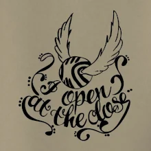 Harry - Zlatá strela