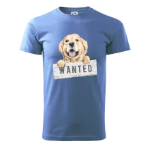 Zlatý retriever - šteniatko wanted
