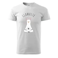 Yoga Llamaste Yoga Llamaste