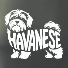 Havanese nápis v tele