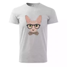 Hipster sphynx
