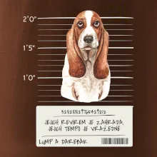 Baset - lump a darebák  