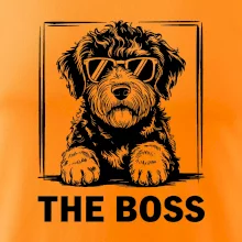 Lagotto romagnolo the boss