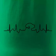 Labradorský retriever EKG Labradorský retriever EKG