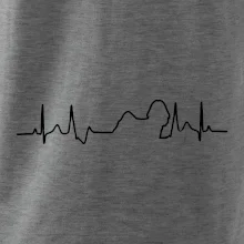 Shih-tzu ekg obrys Shih-tzu ekg obrys