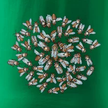 Včelia rodinka kruh (Pecka Design)