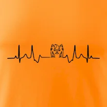 Shih-tzu ekg hlava