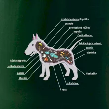 Tajomstvo bulteriéra s popisom (Pecka Design)