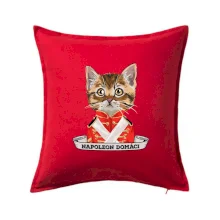 Napoleon domáci mačka