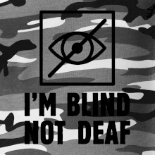 I'm blind not deaf