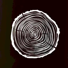 Letokruhy 25 bez veku