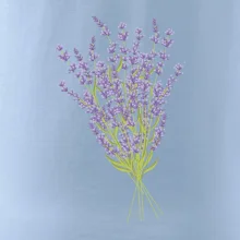 Levanduľa kreslená