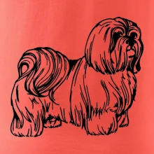 Shih-tzu - chlpatý Shih-tzu - chlpatý