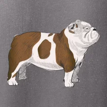Vintage English bulldog
