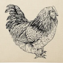 Sliepka čiernobiela