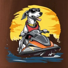 Chrt na vodnom skútri