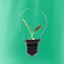 Žiarovka kvetináč