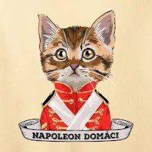 Napoleon domáci mačka