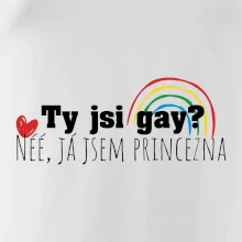Gay princezna Gay princezna