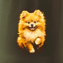 Obrázok poltón Pomoranský špic