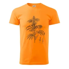 Konope kvietok čiernobiely  