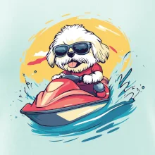 Lhasa Apso na vodnom skútri