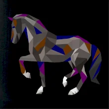 Kôň geometria farebný