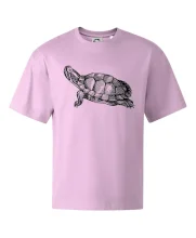 Ceruzkou kreslená korytnačka